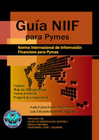 223 NIIF para MYPES.pdf