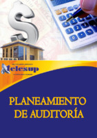 235 Planeamiento de auditoria.pdf