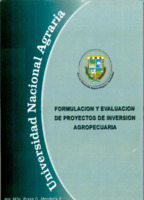 21 Proyectos de inversión formulación y evaluación.pdf