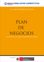 234 Plan de negocio.pdf