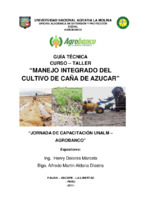 145 MANEJO_INTEGRADO_DEL_CULTIVO_DE_CANA_DE_AZUCAR.pdf